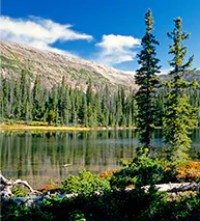 Kamas